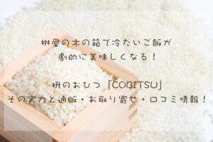 桝屋の木の箱で冷たいご飯が復活する！？枡のおひつ COBITSUとは？