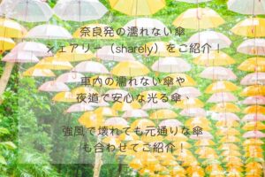 奈良の濡れない傘！シェアリーとサーカスのヒミツ！